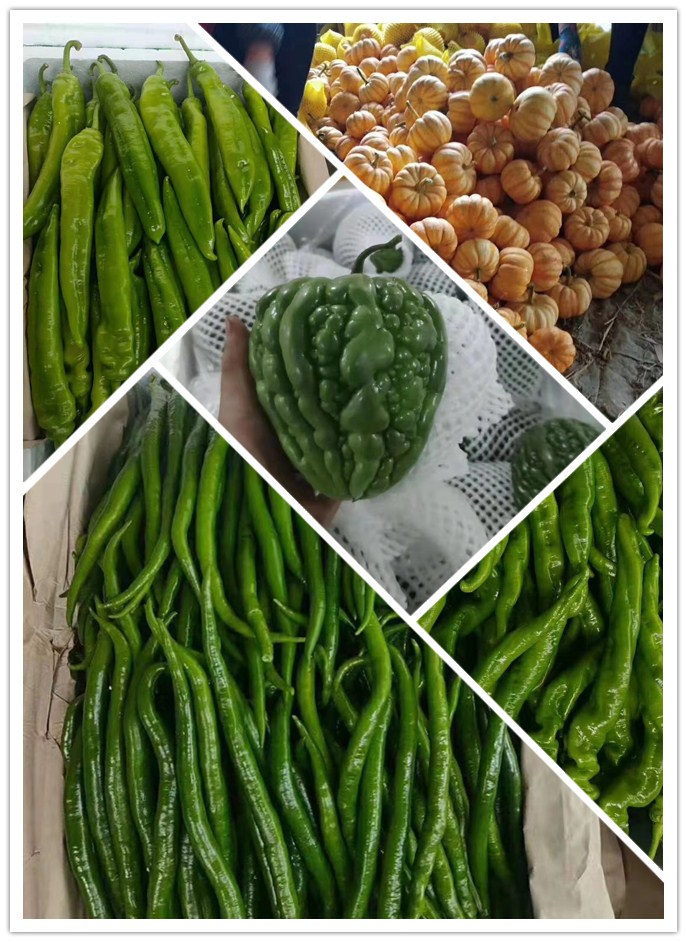 J9���ʼ���(�й�)-�ٷ���վ