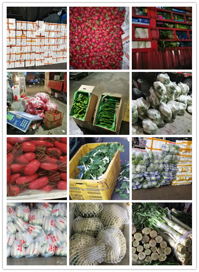 J9���ʼ���(�й�)-�ٷ���վ