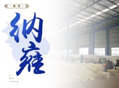 ��Ӻ-����10��Ķ����ֵ������
